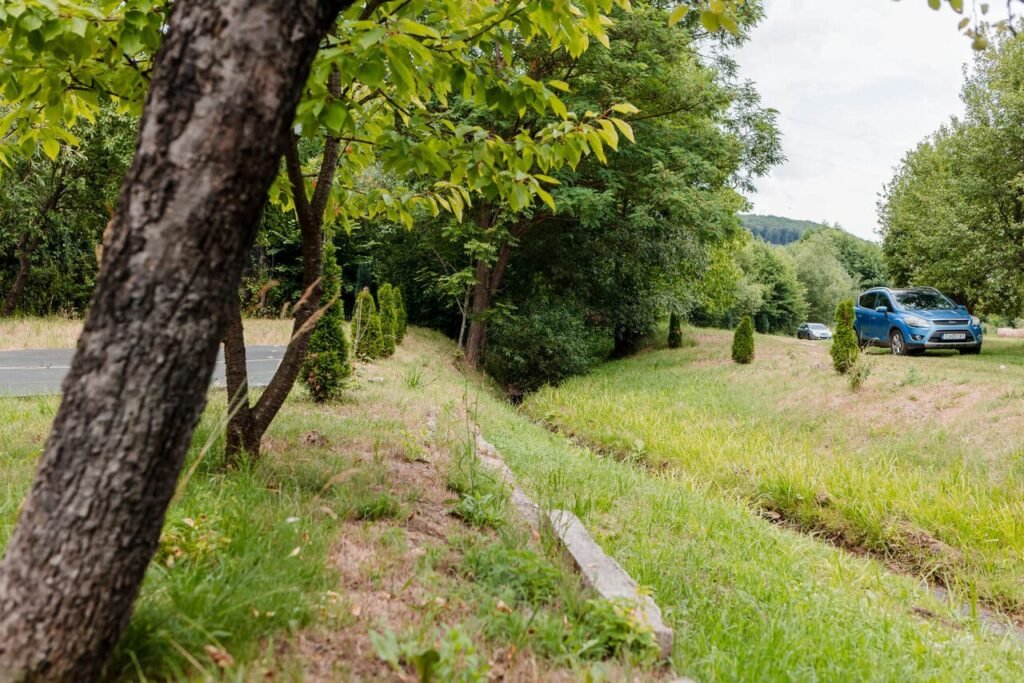 O vedere a spațiului verde din fața Cabanei Ana, cu o alee de acces, mașini parcate și vegetație luxuriantă. Se observă pârâul care trece prin curte și o zonă de iarbă tunsă, care arată că spațiul este îngrijit.